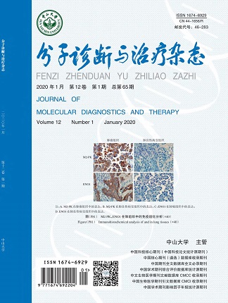 Starbo星宝(中国集团)官方网站