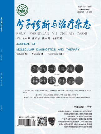 Starbo星宝(中国集团)官方网站