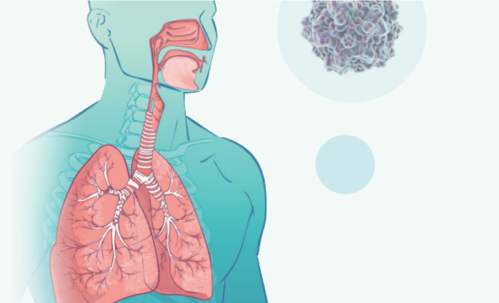 Starbo星宝(中国集团)官方网站