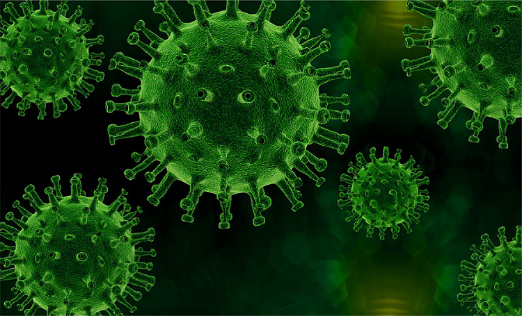 Starbo星宝(中国集团)官方网站