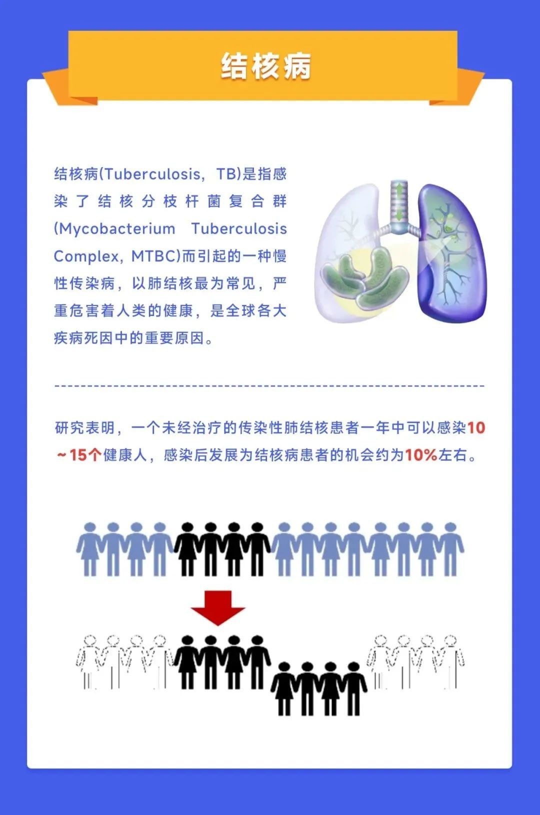 Starbo星宝(中国集团)官方网站