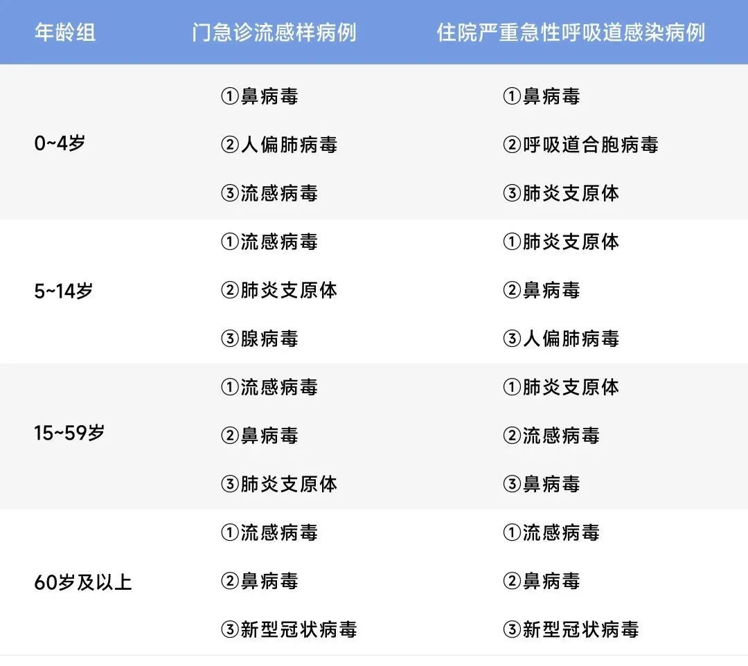 Starbo星宝(中国集团)官方网站