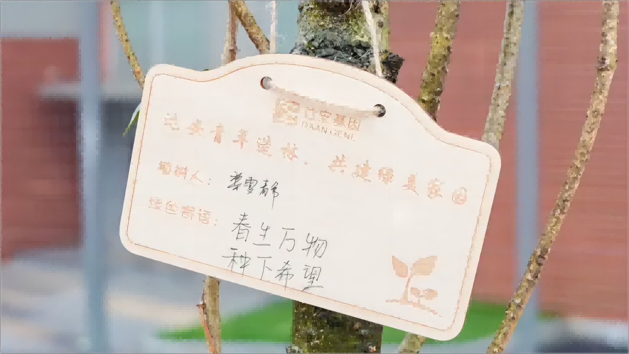 Starbo星宝(中国集团)官方网站