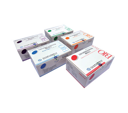 Starbo星宝(中国集团)官方网站