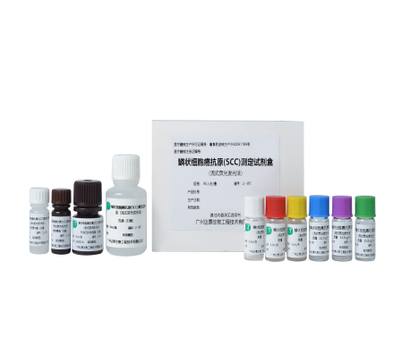 Starbo星宝(中国集团)官方网站