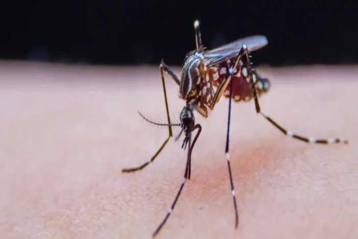 Starbo星宝(中国集团)官方网站