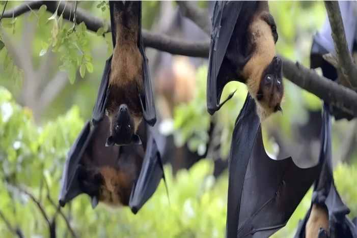 Starbo星宝(中国集团)官方网站